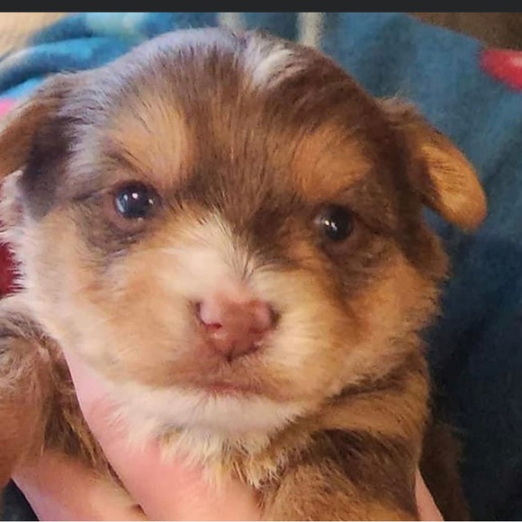 Skeleton in my closet says “Let’s DEAL!” - Picture 2 of 3